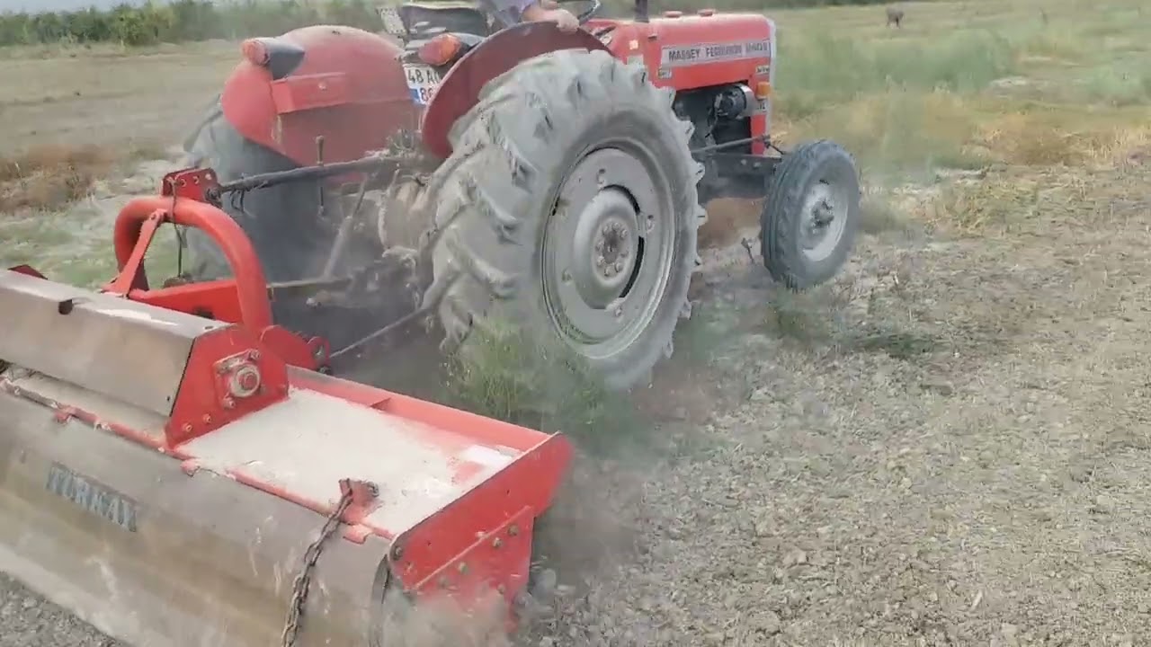 Massey Ferguson 240 S ile Tarlaya Rotor Çekmek  #masseyferguson #tarım #traktör #mf