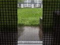 Rain Timelapse