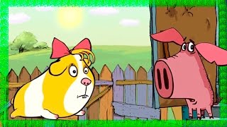 Piglet - Part 4 - The Guinea pig | 3D Animation Kids Videos | Full Episodes