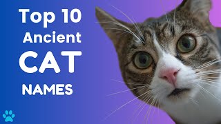 Top 170+ Cute Ancient Cat Names Inspired By Ancient Civilization
