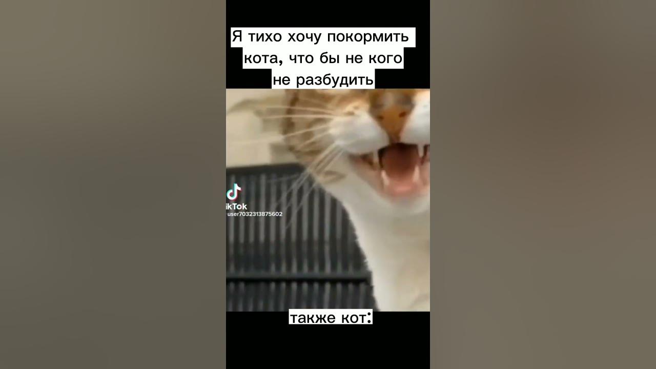 Мой первый мем - YouTube