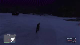 Free Roam