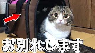 ぽこ太郎との思い出が詰まったバッグとお別れします…