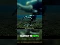 ProShot Dive Case 2.0: Ultimate Underwater Adventure Gear! 🌊📱 #Shorts