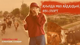 видео: Түркістан vibe II маусым | Қожекең итке таланбаса болғаны | 3 шығарылым картинка: Түркістан vibe II маусым | Қожекең итке таланбаса болғаны | 3 шығарылым