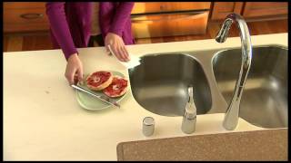 Windex Touch-Up Cleaner/ I Heart Publix