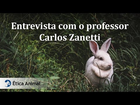 Vídeo: Alguns Fatos Interessantes Sobre Educação E Graduados - Visão Alternativa