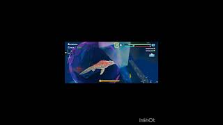 Hungry Shark game #trending #viralvideo #mindrelaxgame #happy #fish #catch screenshot 3