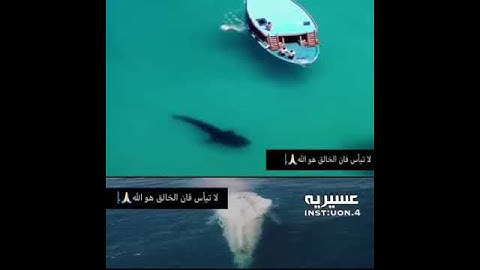 القرآن الكريم بصوت جميل ارح سمعك بذكر الله #حالات_واتس_اسلامية