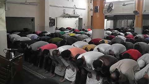 قراءة من صلاة التراويح  من سورة الأنبياء   وبداية الحج  رمضان 1440هـ - 2019 للشيخ بركات سيد البخاري