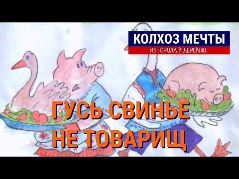 Гусь свинье не товарищ