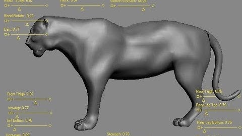 2.08  Convert to NURBS(3d studio max)-Gonmon