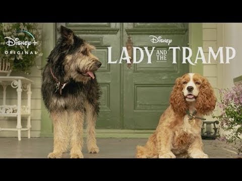 2019 Lady And The Tramp