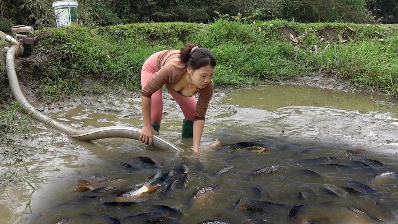 Interesting Fishing in Lakes and Rivers, Fishing Techniques Catching a Lots of Fish