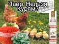 Что НЕЛЬЗЯ Курам (птице) . Стрим 24.10.20