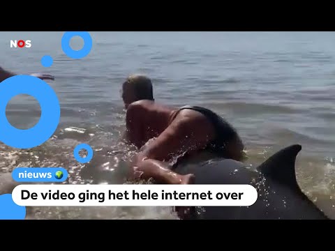 Politie doet onderzoek naar vrouw die op walvis klom