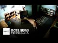 Video shows deer breaking into Minnesota school
