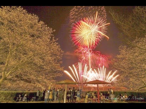 【白竜湖花火2019】第6部～未来～（広島県三原市大和町）／備後カメラ部