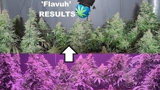 Flavuh Terpene Booster Experiment - RESULTS! Did It WORK?