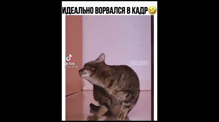 кот идеально ворвался в кадр #Shorts