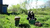Роелов