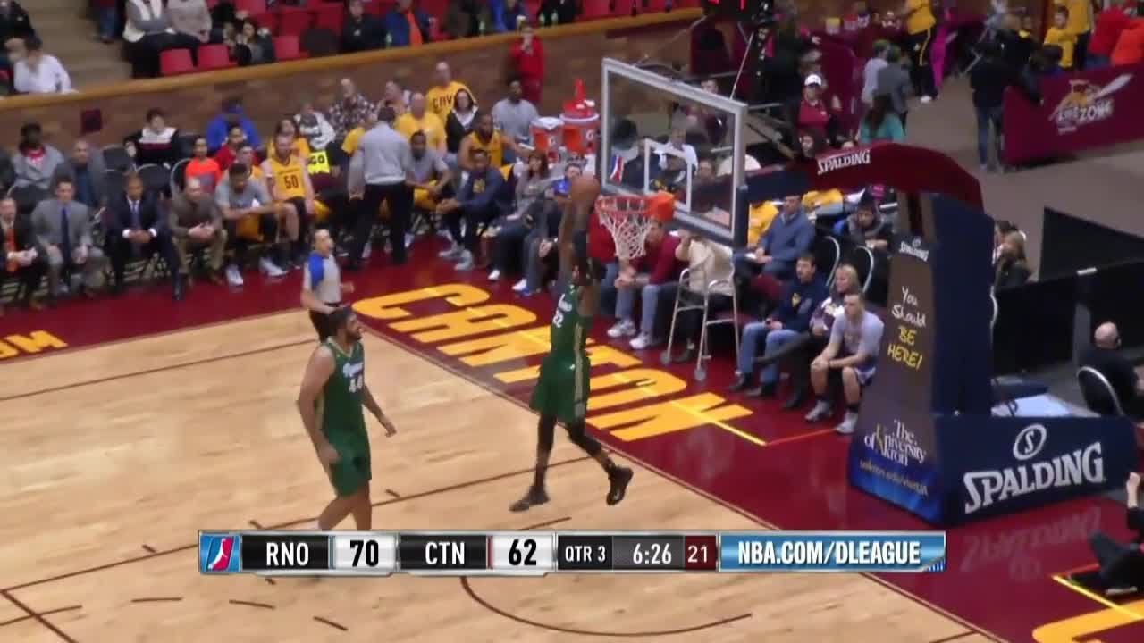 Quincy Miller 2014-15 NBA D-League Season Highlights