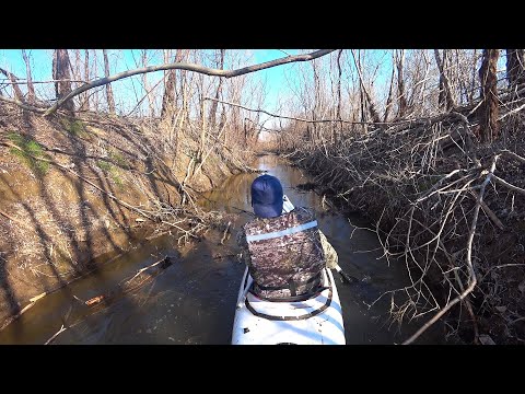 видео: СКРЫТОЕ ОТ ГЛАЗ. РЫБЫ ТАМ МНОГО. Рыбалка на поплавок. Рыбалка на поплавочную удочку