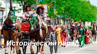 #Мои цветы!Pferdemarkt!Ливень!