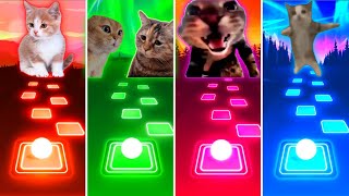 Savage Cat vs Talking Cats vs Doorbell Cat vs Happy Cat - Tiles Hop EDM Rush