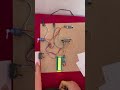 UNAUTHORIZED PARKING DETECTOR WITH NOTIFICATION SYSTEM