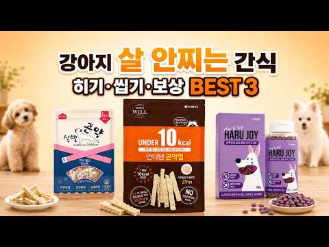 강아지 살 안찌는 간식 추천 BEST 3 | 허기 관리·저칼로리 껌·노즈워크
