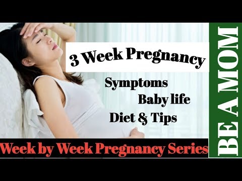 3rd-week-of-pregnancy-,-week-by-week-pregnancy-guide,-tips-for-healthy-pregnancy