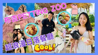 【布吉推介】布吉必去｜Petting Zoo｜Sweet Talk｜親親小動物 ... 