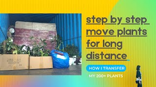 Moving houses with 200+ plants with in India| All you need to know |