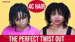 The Perfect Twist Out on 4c Hair in 2022 | IgboCurls