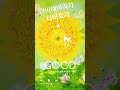 나비해바라기/나비효과#나비#해바라기 #어린왕자 #little #gallery #prince