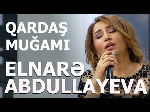 Video: İtim qarda üşüyəcək?