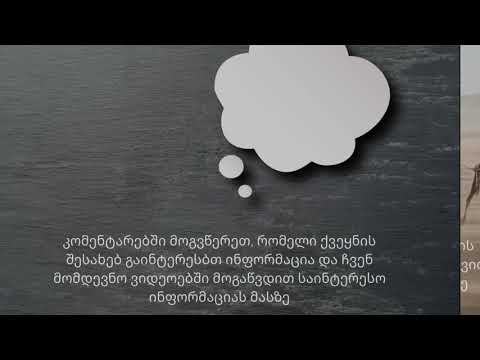 მოგზაურობა მსოფლიოს გარშემო