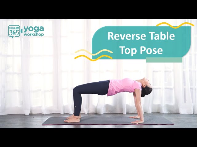 Ardha Halasana (Half Plough Pose) – Daily Yoga Routine with Human  Interaction (Online and Offline)