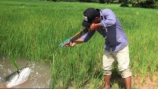 Shooting Fish with crossbow in Cambodia - The Best homemade crossbow