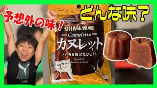 【Tik Tokで話題お菓子】グミじゃない！カヌレット（UHA味覚糖）ってどんな味？小学生が正直食レポ！？