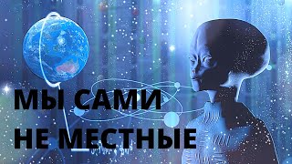 МЫ САМИ НЕ МЕСТНЫЕ | Тайны космоса