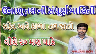 તલ ની ખેતી પધ્ધતિ, ડાળી વાળા ઉનાળુ તલ, Tal ni kheti, કાળા તલ, સફેદ તલ, તલ ની આધુનિક ખેતી