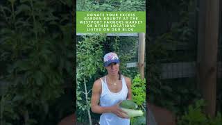 Information TRASH TALK: Donate Surplus Garden Produce Update