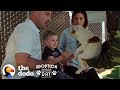 This Pittie Was Pregnant In A Shelter When She Found The Best Family | The Dodo Adoption Day