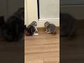 Play with me