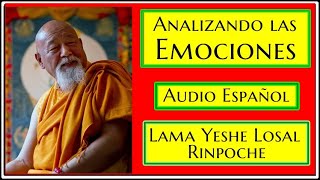 💟ANALIZANDO LAS EMOCIONES💦AUDIO ESPAÑOL🙏Lama Yeshe Losal Rinpoche