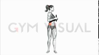 Weighted Standing Twist