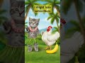 Cute kitten hula dancing chicken banana #shorts #kitten #song #funny #memes #trending #laugh #humor