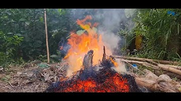 ANg Vi Vu | Một ngày miền Tây cùng món cá lóc nướng trui